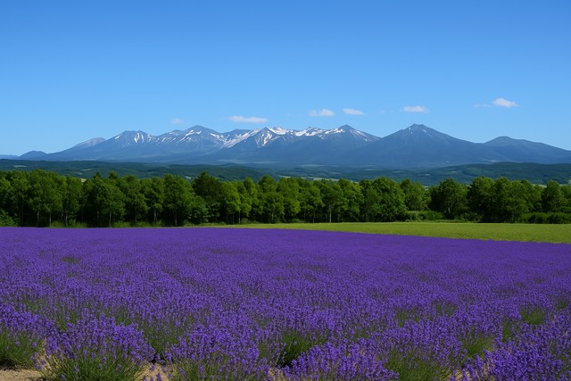 hakodate-night-view-from-mount-hakodate
