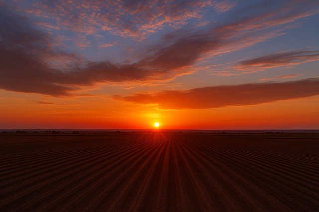 otaru-canal-evening-lights-hokkaido